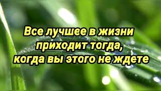 Все лучшее в жизни приходит тогда, когда вы этого не ждете