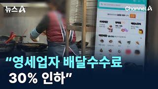 정부 “영세업자 배달수수료 30% 인하” / 채널A / 뉴스A