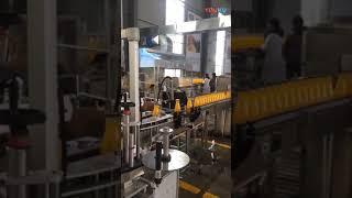 Top and double sides labeling machine #machine #scheringbottlefillingmachine #automaticpackagingline