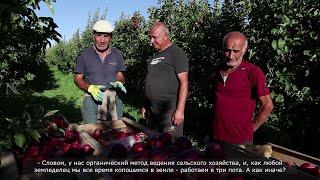 Խնձորի այգին / Яблоневый сад / Apple Valley #armenian #village