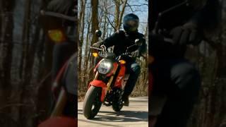 Why on EARTH did I buy a Honda Grom #grom #minimoto #hondagrom