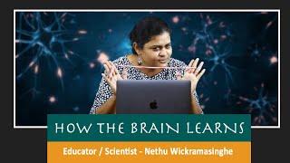 HOW THE BRAIN LEARNS I Educator I Andragogy