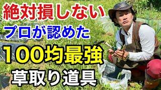 【全種レビュー】100均の草取り道具が正直とんでもない物ばかりだった。　【カーメン君】【ダイソー】【100均】【初心者】