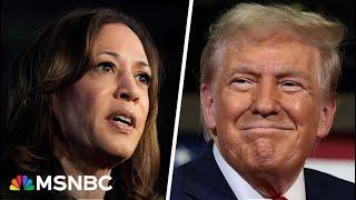 Voters see Harris more favorably than Trump in new polling