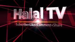 Halal Tv