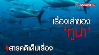 สารคดี  I เรื่องเล่าของทูน่า I ช่องพีเอสไอสาระดี 99 I PSI SARADEE 99 I สารคดีมีชีวิต