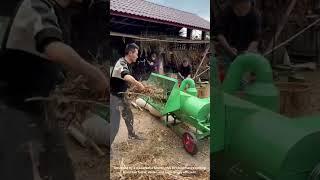 Homemade Tree Trimmer in Action: Genius DIY Invention!"