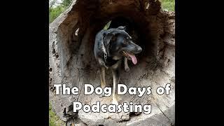 WLF Kicks! #118 - Signing off from the Dog Days Of Podcasting