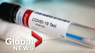 Coronavirus around the world: March 20, 2020