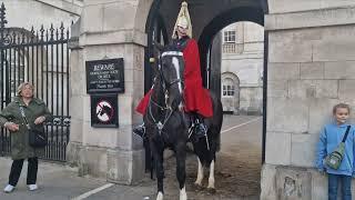 tourists have a close encounter with police horses. she bows in respect to the kings guard