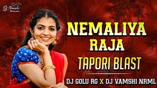 NEMALIYA RAJA  || FOLK DJ SONG || TAPORI BLAST MIX BY || DJ GOLU RG || DJ VAMSHI NIRMAL