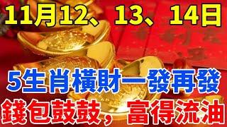 土地公送財了！11月12、13、14日！這5大生肖橫財一發再發，大筆錢財入賬，錢包鼓鼓，暴富指日可待！【禪定自在】#生肖 #運勢 #命理 #屬相 #風水