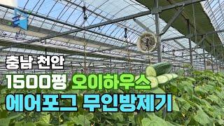 충남 천안시 1500평 오이하우스 에어포그 무인방제기