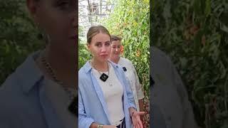 ОЧЕНЬ сладкий и урожайный черри томат для теплиц.