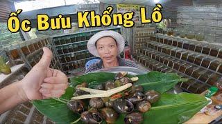 Món Ốc Bưu Khổng Lồ của ông chủ trại cá Betta thiệt là vãi chưởng