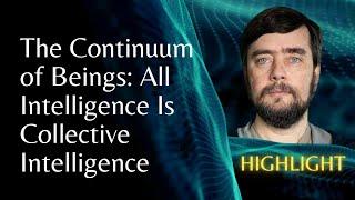 The Continuum of Beings: All Intelligence Is Collective Intelligence | Michael Levin