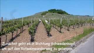 Wandern - Eifel - Das Ahrtal zwischen Rech und Mayschoß