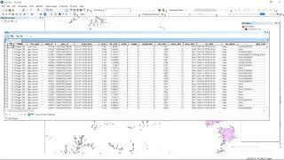 remote sensing and GIS