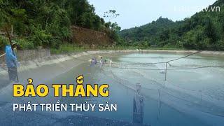 Phát triển thủy sản Bảo Thắng | THLC