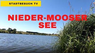 Nieder-Mooser See // Vogelsberg kleiner Besuch in 6 Minuten