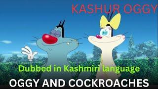 KASHUR OGGY | Oggy Dubbed In Kashmiri Language | Chinar Production