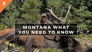 HUNTING IN MONTANA - Deer & Elk Application