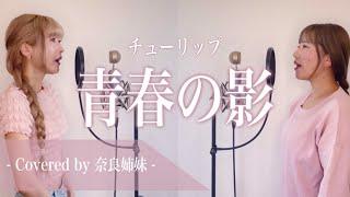 【女性がハモって歌う】青春の影 / チューリップ Covered by 奈良姉妹