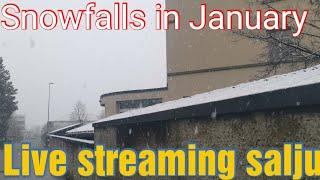 Snowfalls In January  all about Switzerland 