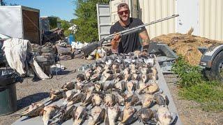 Opening Day 2024 Dove Hunting Using My Brand New Shotgun!!