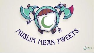 Muslim Mean Tweets