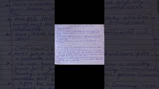 From The Diary of Anne Frank character sketch | class 10 #class10 #cbse