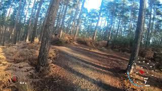 Swinley Forest MTB