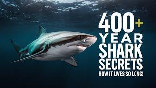 "Greenland Shark Lifespan: How This Shark Lives 400+ Years | Longevity Secrets Uncovered"