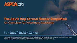 Spay/Neuter Surgery: The Adult Scrotal Neuter Simplified - An Overview for Veterinary Assistants