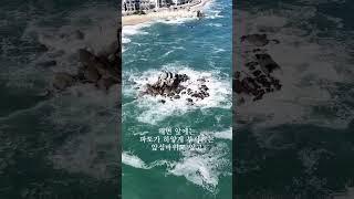 언제 가도 좋은 강릉 사천진해변!  feat. CLOVA Dubbing #Shorts#강릉사천진해변#사천진해변#강릉여행#강릉가볼만한곳#강원도가볼만한곳#드론영상