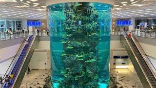 World's Largest Airport Aquarium At Jeddah, Saudi Arabia