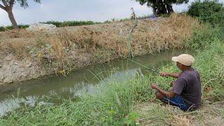 Best fishing technique|Catching 3 type fish(Catfish & Tilapia & baam)by Small hook|Unique fishing