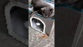 Cat Paradise: Large Cat Cave with Fluffy Ball Hanging and Scratch Pad for Feline Bliss