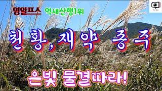 억새 산행1위 영남알프스/ 가을 억새 명품 가보고 싶은 산 산림청 지정 100대명산