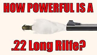 How powerful is the .22lr?