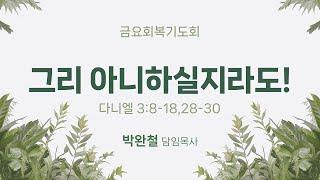 2025.06.06 남서울은혜교회 금요회복기도회