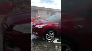 Bikini Carwash 2022