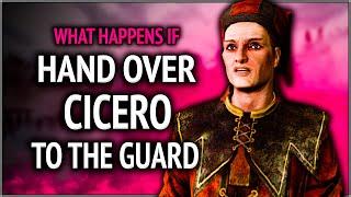 Skyrim ٠ What Happens If you Hand Over Cicero to the Guard in Quest "Delayed Burial"