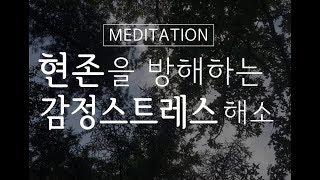 부정적인 감정 해소명상 ㅣ 감정 스트레스 정화 ㅣ 감정 비우기