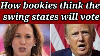 How Much bets In United States Elections Today| Bookies On Donald Trump And Kamala Harris| Elections