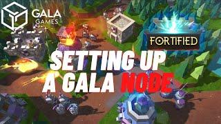 How To Buy A Gala Node And Set It Up [Step By Step Guide]