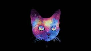 AcidCat - 27 (Original mix)