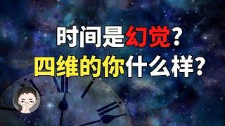 智商800才能理解, 四维时空的你长什么样? 时间是幻觉? [开工了, 来烧个脑]