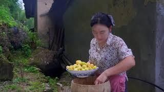 Fruit tea & Fruit wine 水果茶&水果酒【乡愁沈丹 Shen Dan】