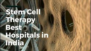 Stem Cell Therapy Hospitals in India, Best Stem Cell Therapy Hospitals in India @LyfboatMedicare